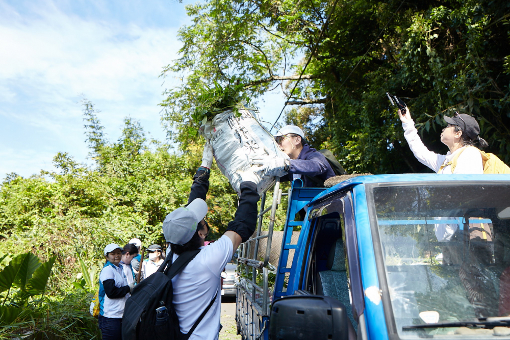 友達串聯志工組成水環境巡守隊，針對霄裡溪沿岸3公里的小花蔓澤蘭，定期進行移除與防治工作